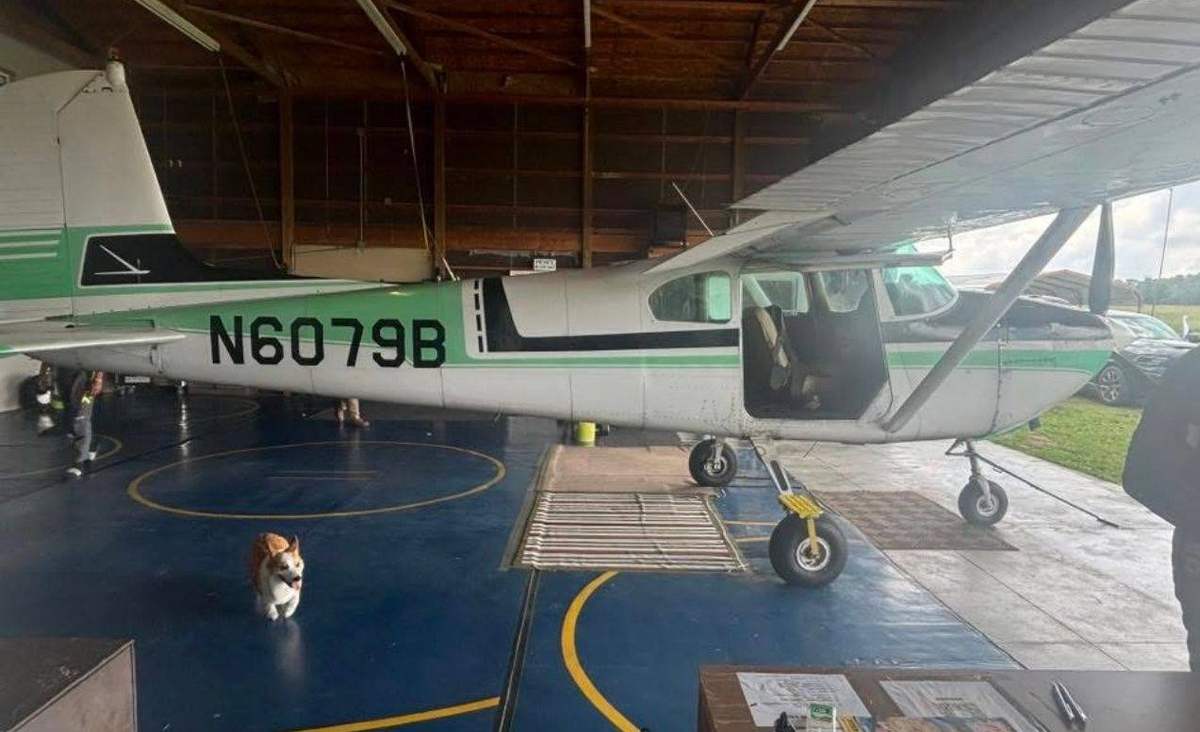 A small jump plane in a hangar, with a corgi trotting across the floor