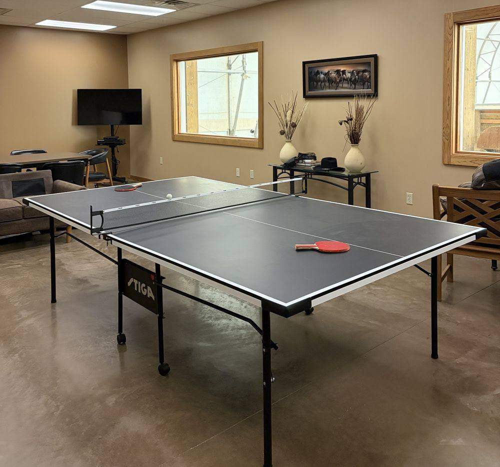 The game room, with a table tennis table and a wall-mounted television