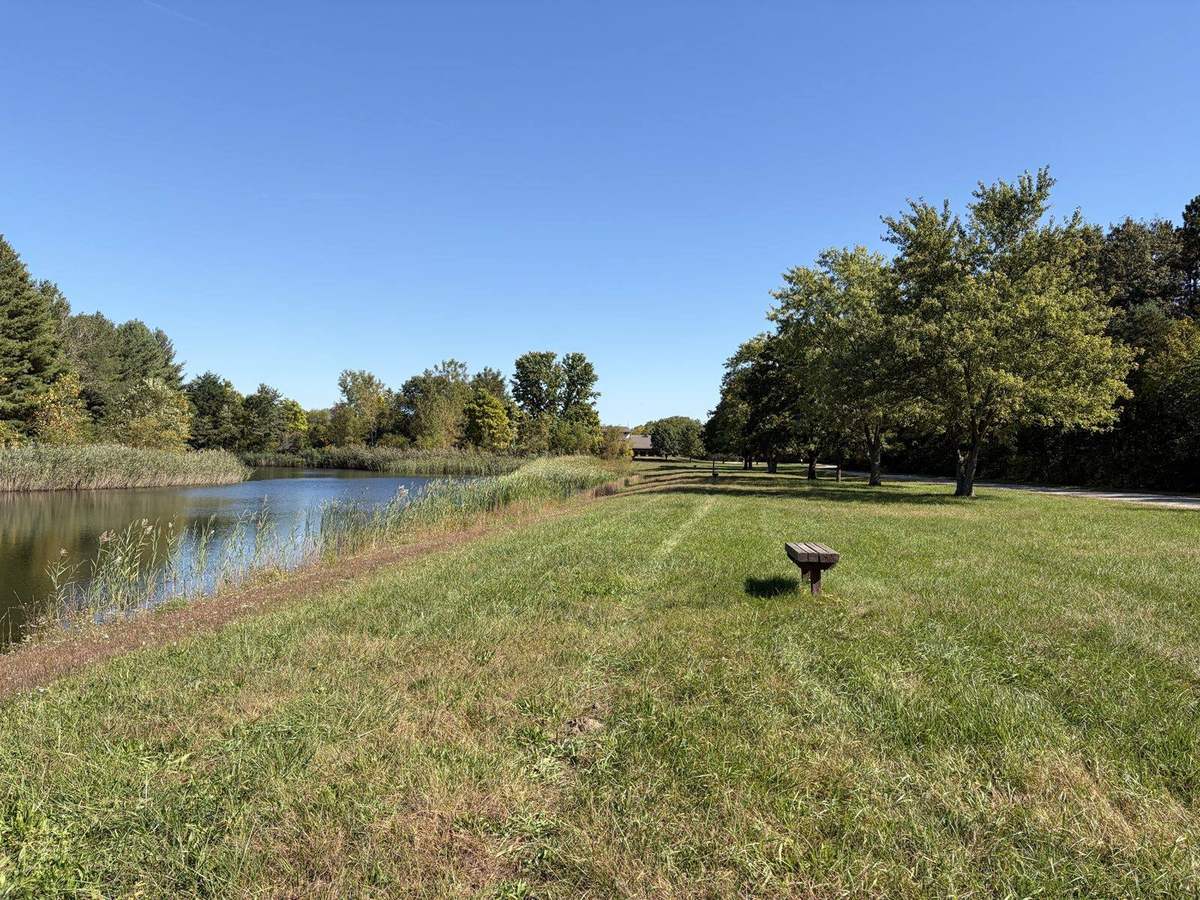 A wooden bench on the lawn beside the campus lake, with shade trees along the drive