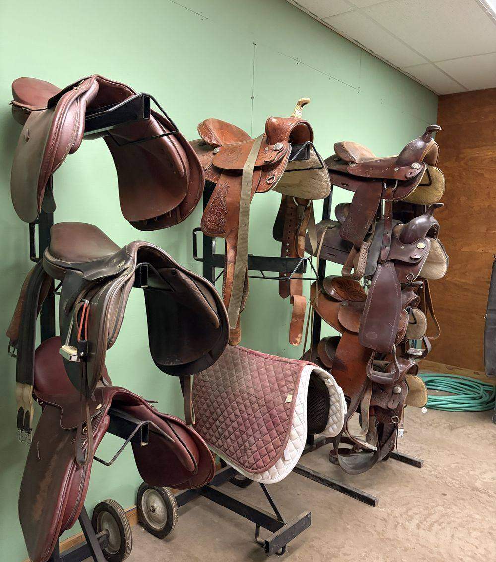 Leather saddles and bridles hanging on racks in the tack room